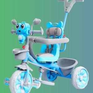 AURA R1 Plus Tricycle