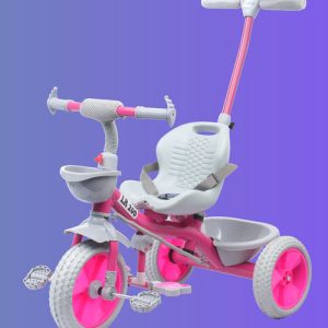 CHARLIE R1 Tricycle