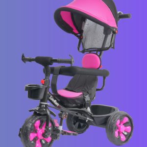 ECOTECH Tricycle