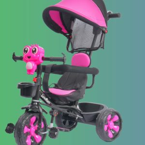 ECOTECH Plus Tricycle