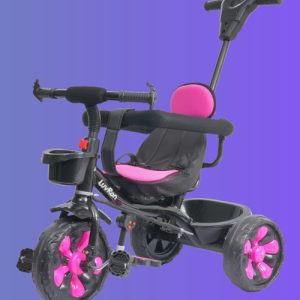 ECOTECH R1 Tricycle