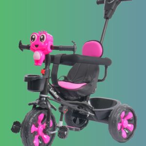 ECOTECH R1 Plus Tricycle