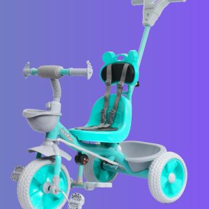 EMMA R1 Tricycle