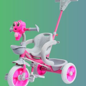 LEON R1 Grey Plus Tricycle