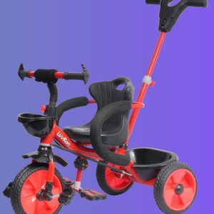 LION R1 Tricycle