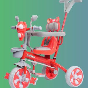 SIGMA R1 Plus Tricycle